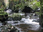 SX20913 Conwy Falls in Fairy Glen near Betws-y-Coed, Snowdonia.jpg